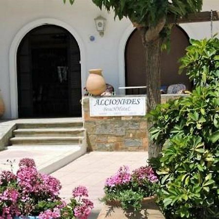 Alkyonides Beach Hotel Malia Exterior foto